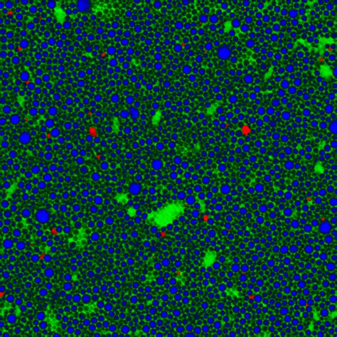 Basic Principles of Raman Scattering and Spectroscopy