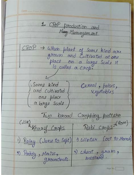 Class 8 Chapter Summaries 的图像结果