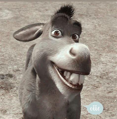 Pin de Ivaneide em Sol🌞 | Burro do shrek, Shrek desenho, O gato de botas