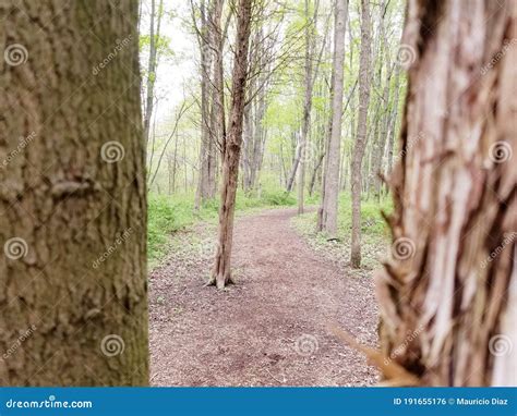 Image result for Two Tree Hiking