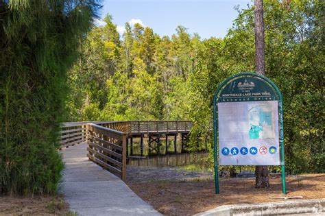 Northdale, FL City Guide | About Living in Northdale - Homes.com
