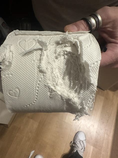 What Happens If a Person Eats Toilet Paper: Shocking Effects