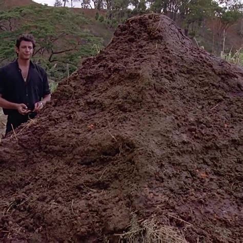 That is one big pile of shit. - Jurassic Park | Clip.Cafe