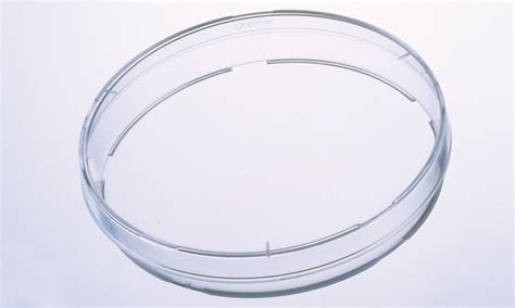 Polystyrene Culture Dish Polystyrene Cell Culture Dish With Lid - TC ...