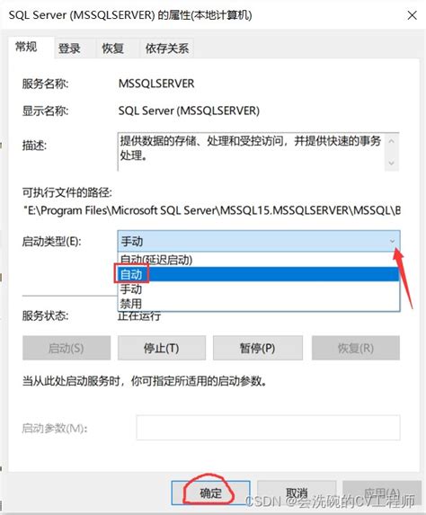 SQL Server E 的图像结果