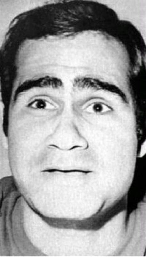 Sayed Zayan Vlogs 的图像结果