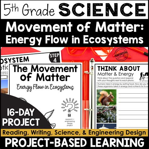 5th Grade PBL Science | Movement of Matter | Energy Flow in Ecosystems