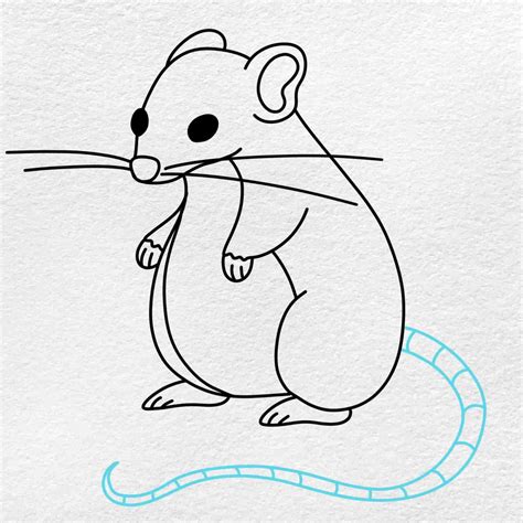 How to Draw a Rat - HelloArtsy