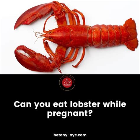 Can You Eat Lobster While Pregnant? - Betony