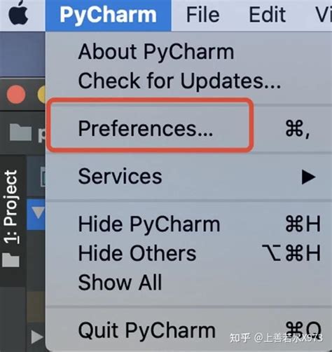How to Access PyCharm 的图像结果