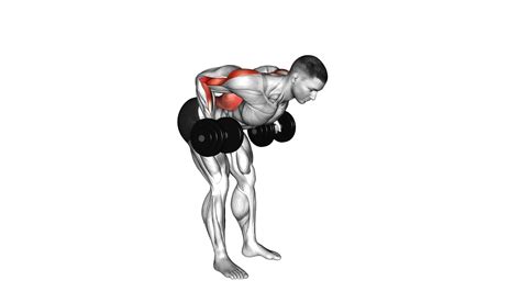 Dumbbell Palm Rotational Bent-over Row - Exercise Guide & Tips