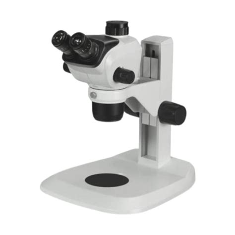 Stereo Microscope 的图像结果
