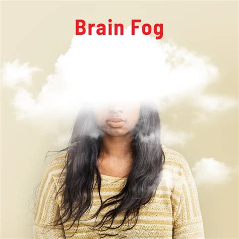 Protein Requirement in Women – Bagrry's