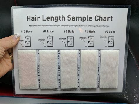Hair length Charts-Blade & Guard Comb – Canadian Grooming Distributor