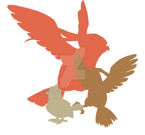 Image result for Pidgey Evolution Level