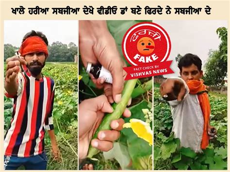 Fact Check: ਸਬਜ਼ੀਆਂ ਨੂੰ ਇੰਜੈਕਸ਼ਨ ਲਗਾਉਂਦੇ ਲੋਕਾਂ ਦਾ ਇਹ ਵੀਡੀਓ ਅਸਲ ਨਹੀਂ ...