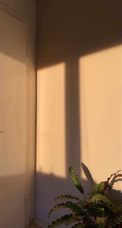 Desktop Background Simple 的图像结果