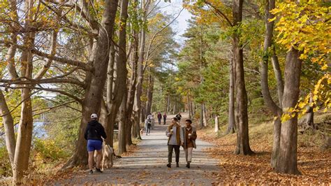 Point Pleasant Park - Tourism Nova Scotia