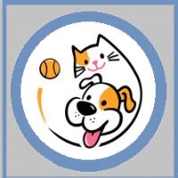 Transport Mačaka Ruma - Niš, Pet Taxi "OLA" Novi Sad - prevoz kućnih ...