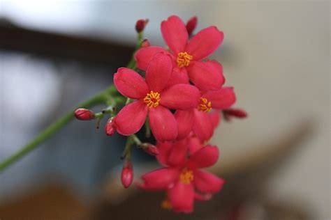 Image result for Basic Knowledge How to Print