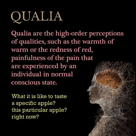 Image result for Qualia Explained