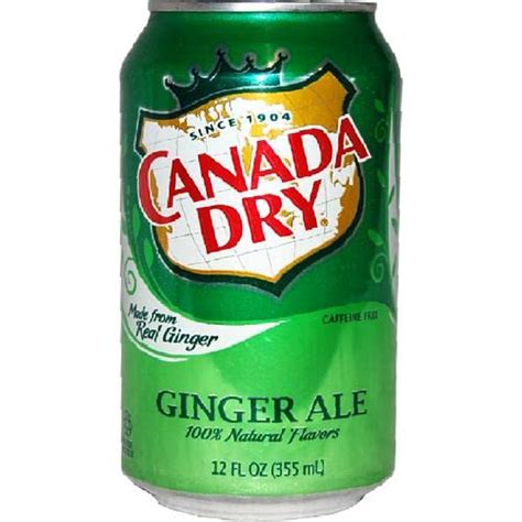 Canada Dry Ginger Ale Cans, 12 Pack 4260ml : Amazon.in: Grocery ...