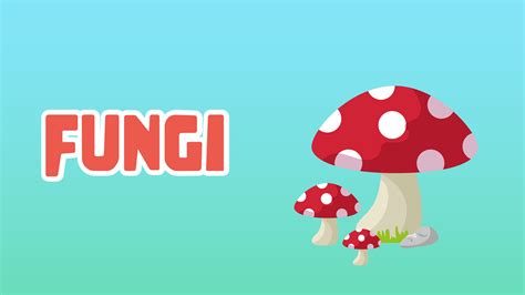 10 Amazing Types of Swords: Discover the Blades of Legends