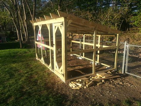 Should A Chicken Run Have A Roof at Jonathan Boas blog