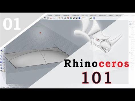 Image result for Using a Rhino