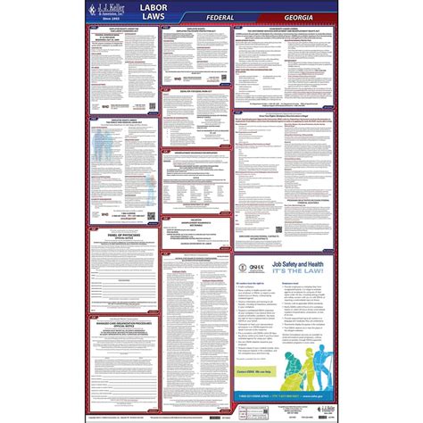 Buy 2023 Georgia and Federal Labor Law Poster (English, GA State ...