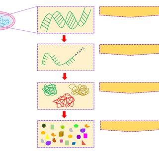 Omics Introduction 的图像结果