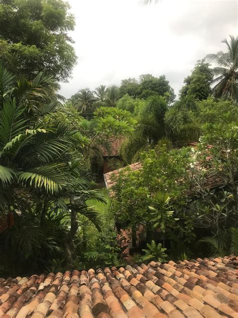 THE POSTCARD GALLE (Gintota) - Hotel Reviews, Photos, Rate Comparison ...