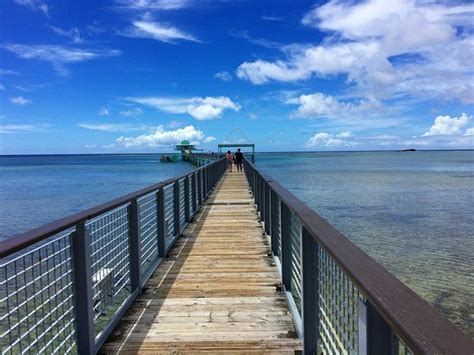 Fish Eye Marine Park (Piti) - 2020 What to Know Before You Go (with ...