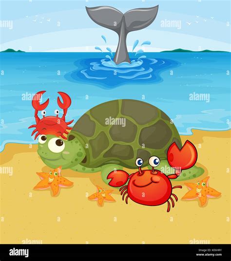 Sea animals on the beach illustration Stock Vector Image & Art - Alamy