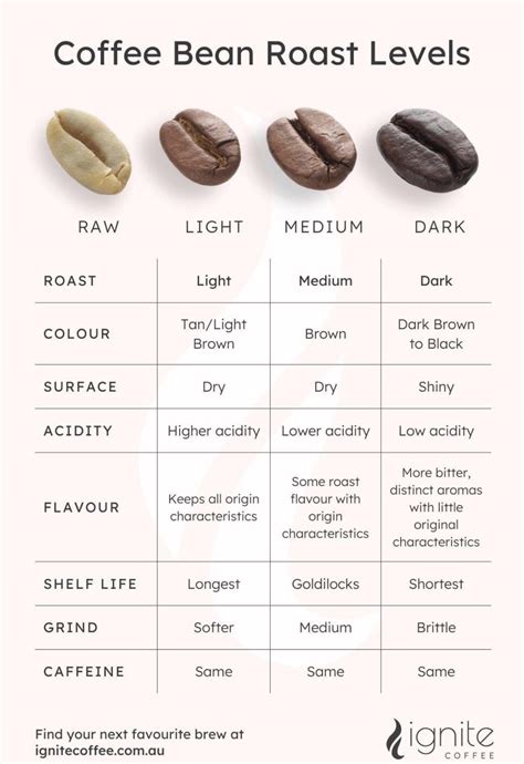 A cool guide to coffee bean roast levels : r/coolguides