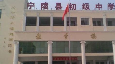 “庄稼没法静默”的河南宁陵县，有村支书称安排了志愿者采摘蔬菜_手机新浪网