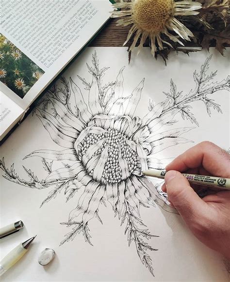 illustration submissions