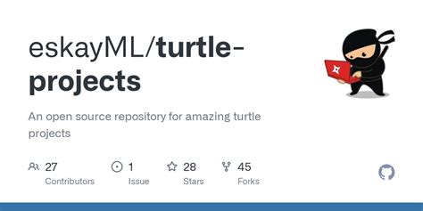 Image result for Python Turtle Projects