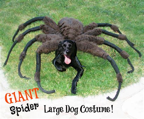 Large Dog Spider Halloween Costume at Keith Turner blog