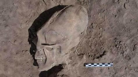 Image result for Alien Skull Found