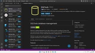 Image result for Visual Code Database Connect Extension