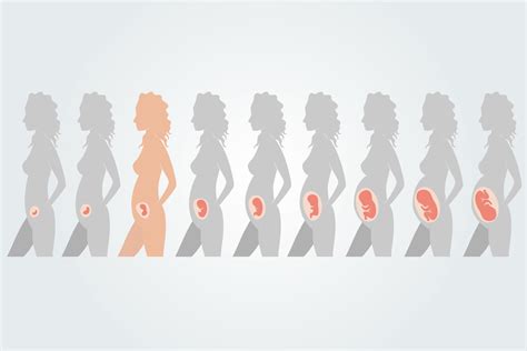 Image result for Array of Objects JavaScript