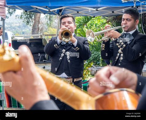 Mexican mariachi band playing happy, iconic, traditional music at ...