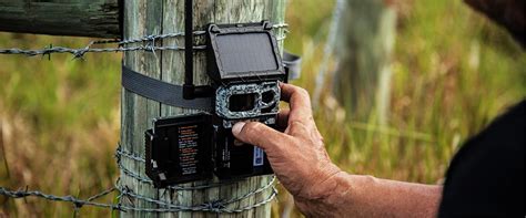 Trail Camera to Computer 的图像结果