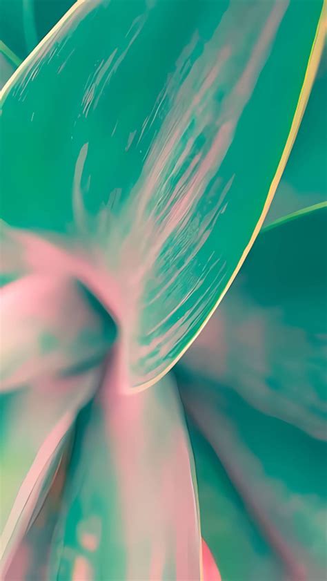 Image result for Colorful Wallpapers