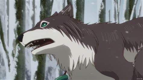 Image result for Ancient Magus Bride Chise PFP