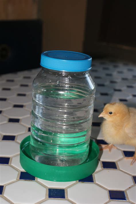 Homemade Chicken Waterer Ideas