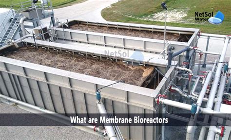 Image result for Membrane Bioreactor Process