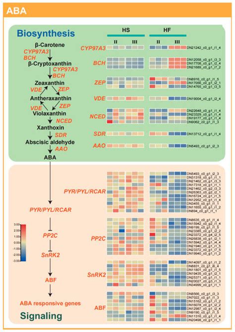 Disruption of the Contents of Endogenous Hormones Cause Pollen ...