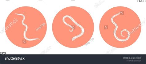 Earth Creatures Logo 的图像结果